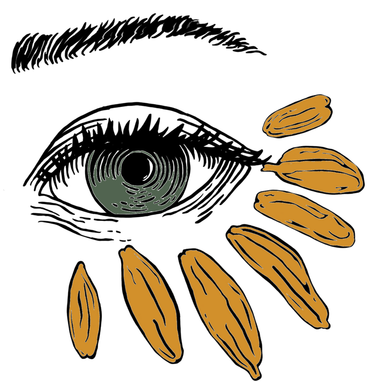 Golden Tallow